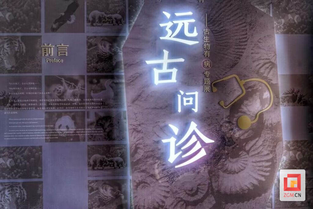 2023年度 自贡恐龙博物馆游客接待量同比增长超190%-6.jpg