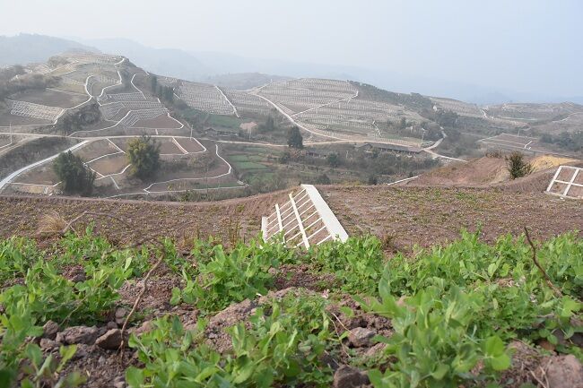 历经6个月紧张施工 荣县3万亩瘠薄地变粮田-2.jpg