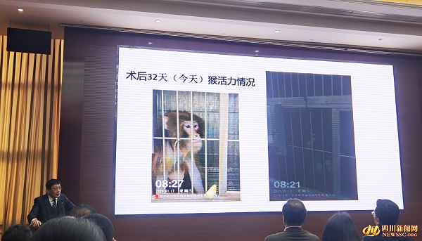 四川省首例基因编辑猪-猴异种心脏移植手术刷新国内纪录-2.png