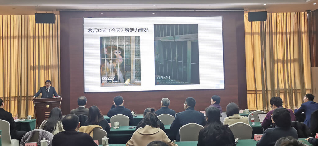四川首例基因编辑猪－猴异种心脏移植手术完成！“猴哥”已存活32天-2.jpg