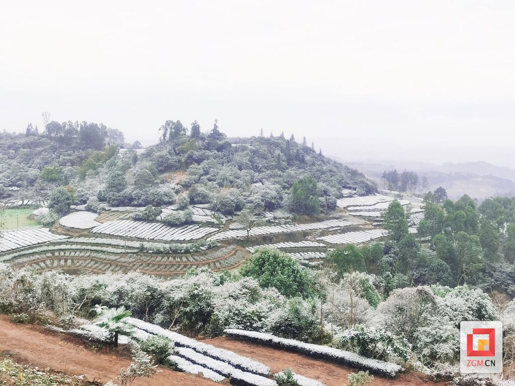 好一身洁白的“雪衣” 荣县迎来2024年首场瑞雪-2.jpg
