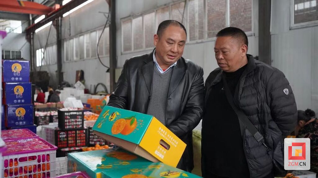 首批柑橘已在路上 荣县柑橘将亮相俄罗斯市场-1.jpg