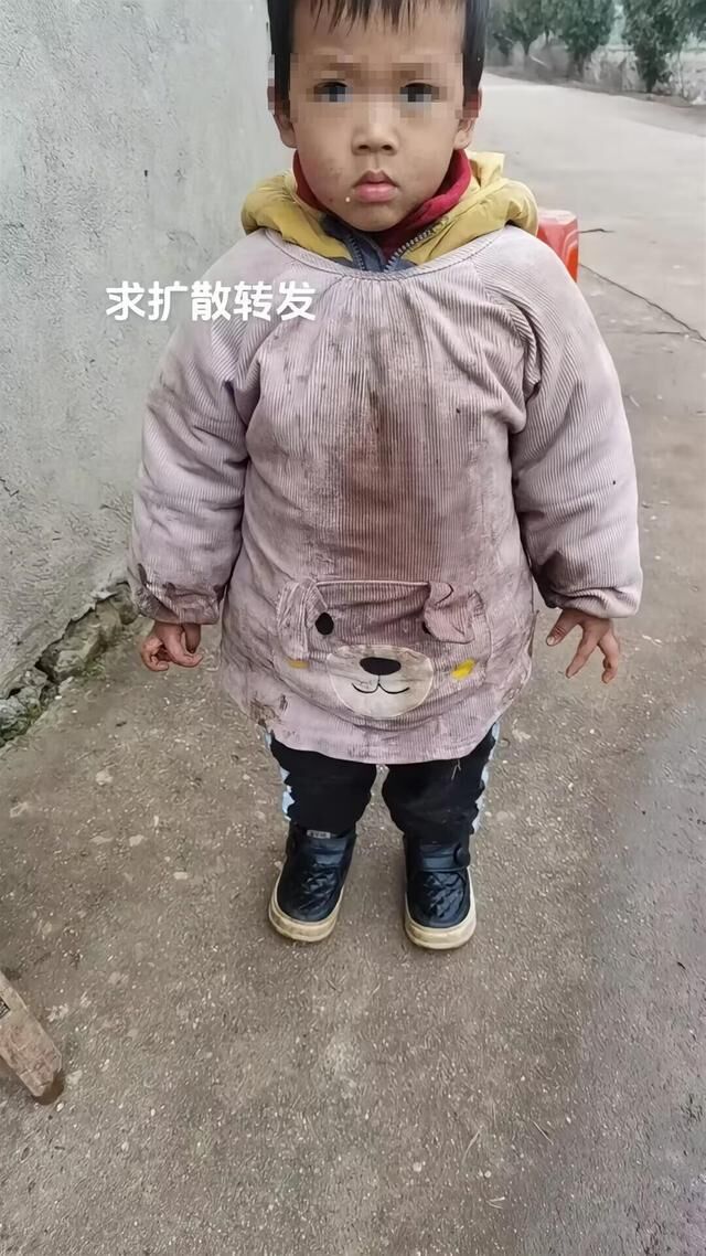 两岁男童回湖南衡阳老家三天后蹊跷失踪，近百村民搜寻整晚未果-1.jpg