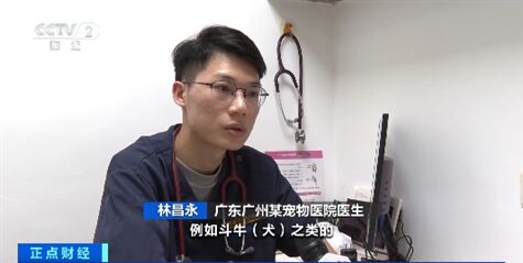 春运携宠物长途出行需谨慎 这些情况要注意→-4.jpg