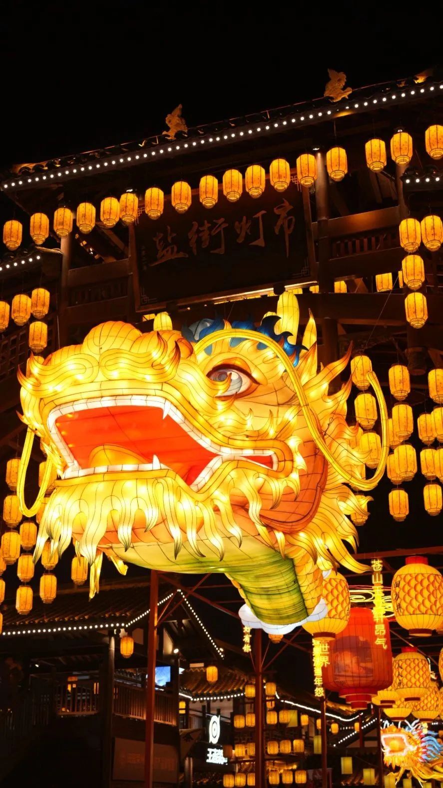 来自贡只办三件事：看灯看灯看灯！-22.jpg