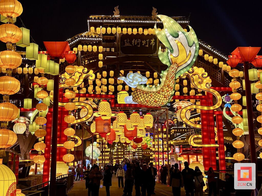 美丽自贡邀全国游客乘高铁来过年-5.jpg