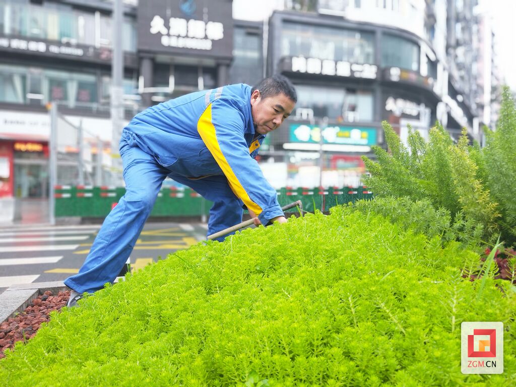 鲜花扮靓城市 盛装喜迎春节-2.jpg
