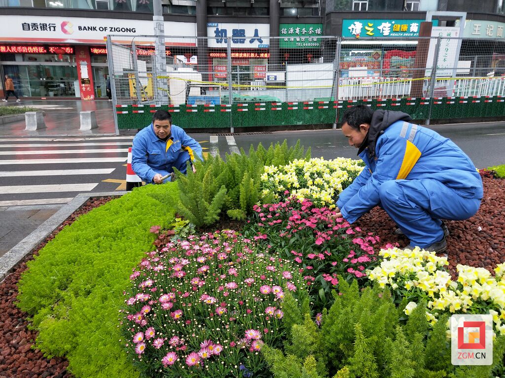 鲜花扮靓城市 盛装喜迎春节-1.jpg