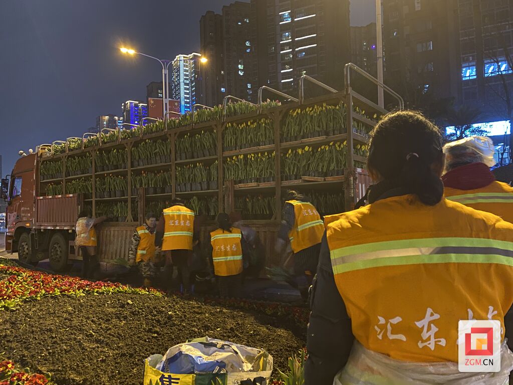 鲜花扮靓城市 盛装喜迎春节-3.jpg
