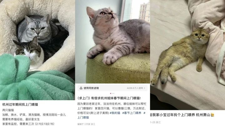 爆了！杭州姑娘猛接100单：短短几天赚5000元！-3.jpg