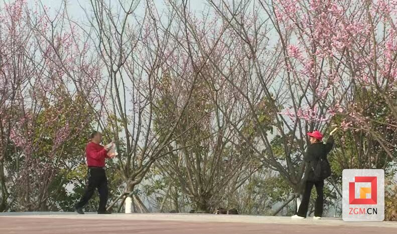 【新春走基层】春节期间 江姐故里红色教育基地日均接待游客七千人次-4.jpg