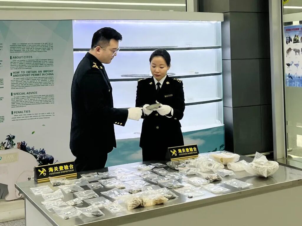 494件文物，险些出境！-1.jpg
