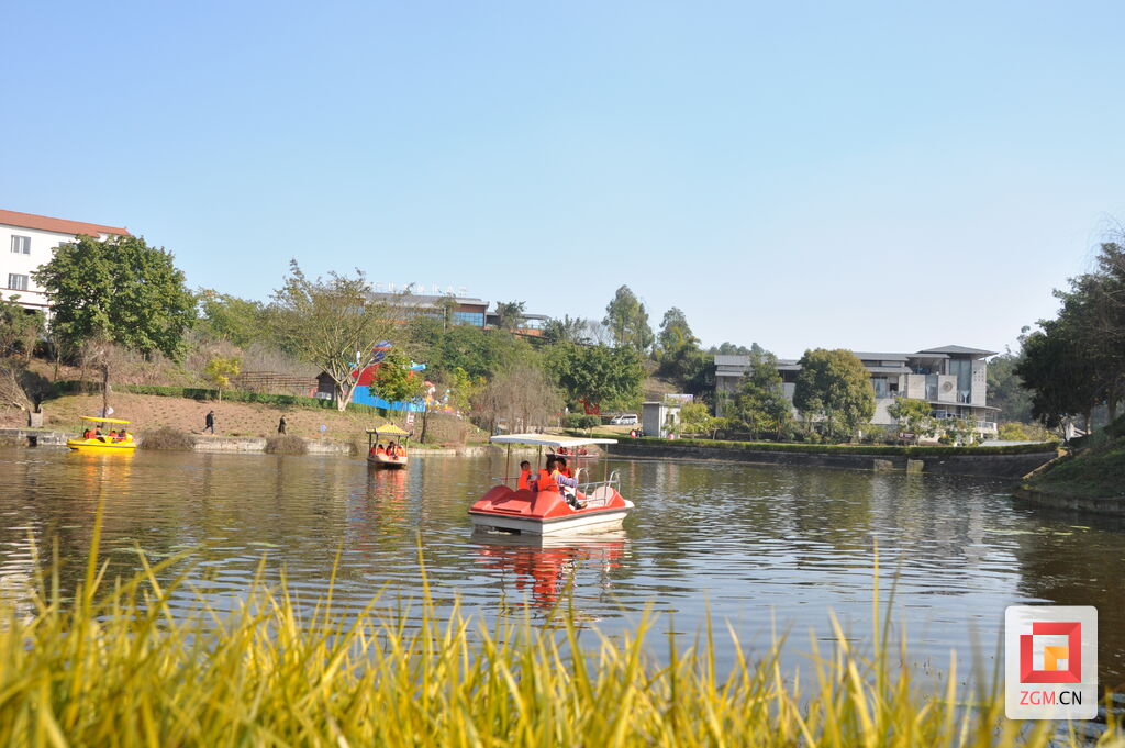 【新春走基层】自贡：乡村年味浓，永安镇郁金香吸引游客打卡-5.jpg