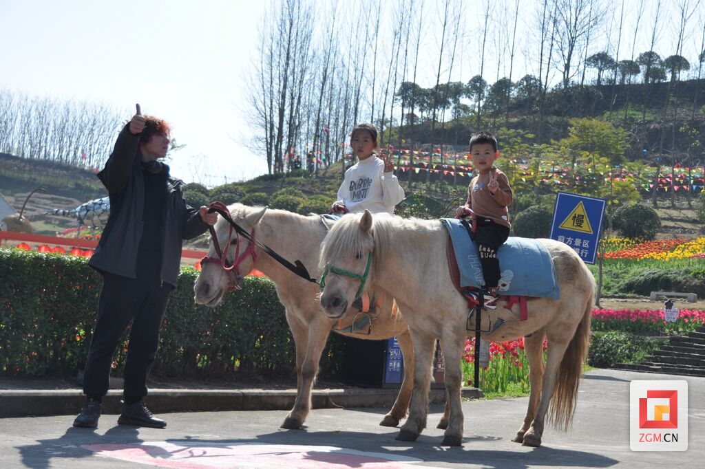 【新春走基层】自贡：乡村年味浓，永安镇郁金香吸引游客打卡-4.jpg