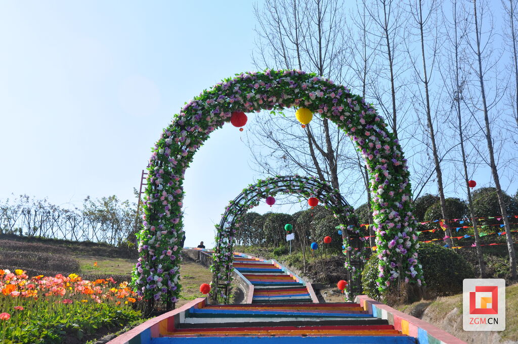 【新春走基层】自贡：乡村年味浓，永安镇郁金香吸引游客打卡-8.jpg