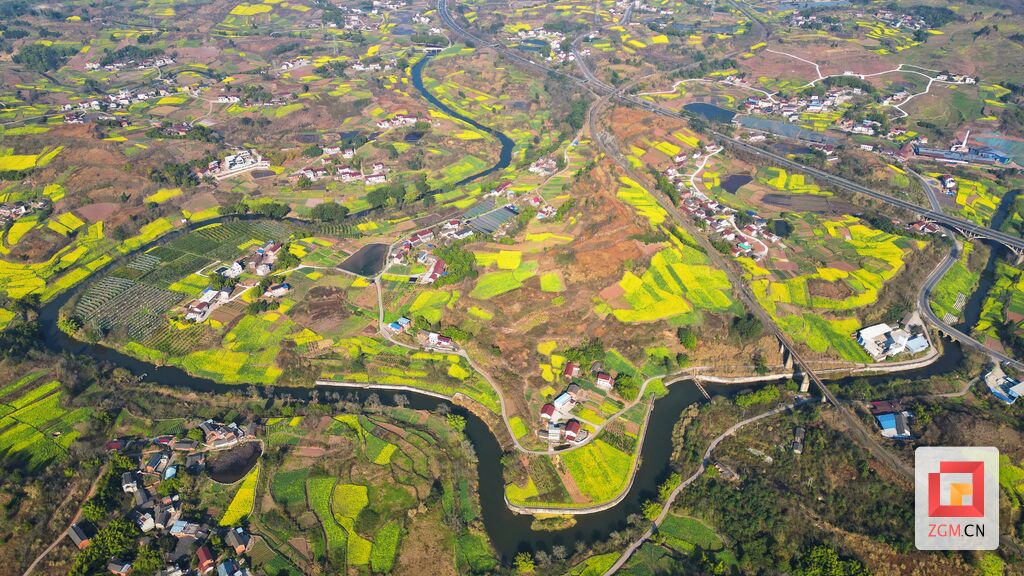 【盐都图赏】春回大地 油菜花开满地金-3.jpg