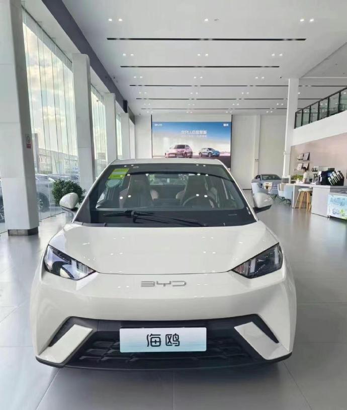 过几天想回南京给妈妈买一辆比亚迪海鸥-1.jpg