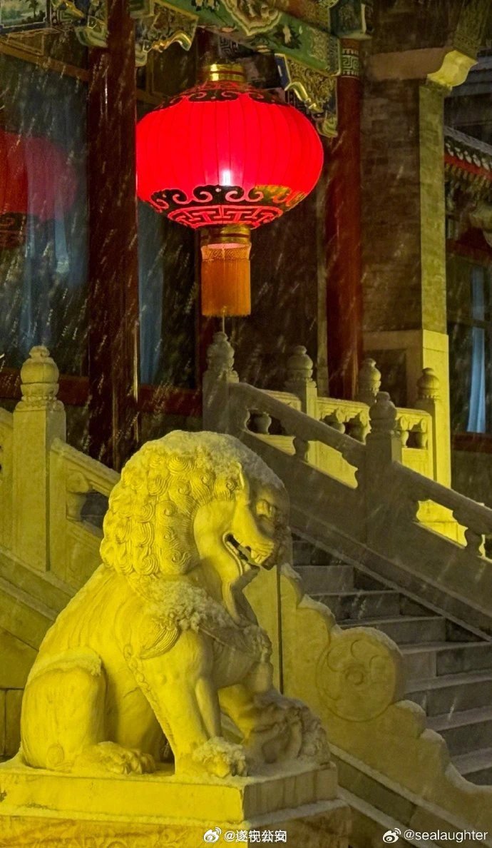 #北京暴雪#北京迎来了，2024甲辰龙年新春的第一场雪-6.jpg