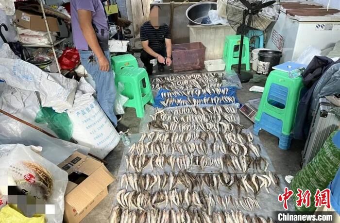 自贡警方打掉一非法捕捞野生鱼类犯罪团伙-1.jpg