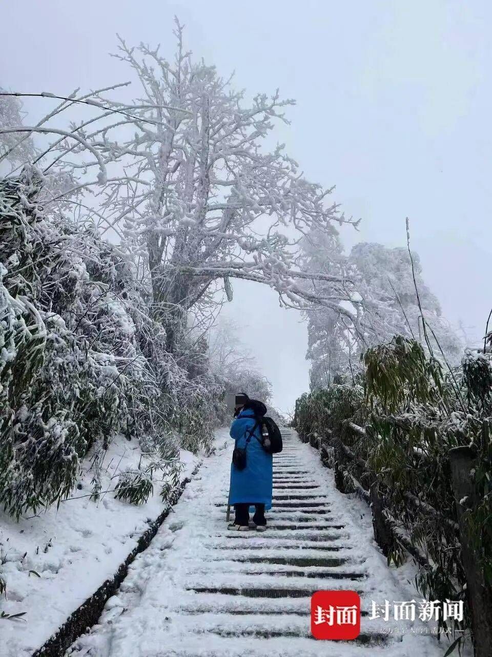 女大学生独游峨眉山失联超18天！上山前给闺蜜的留言很奇怪-3.jpg
