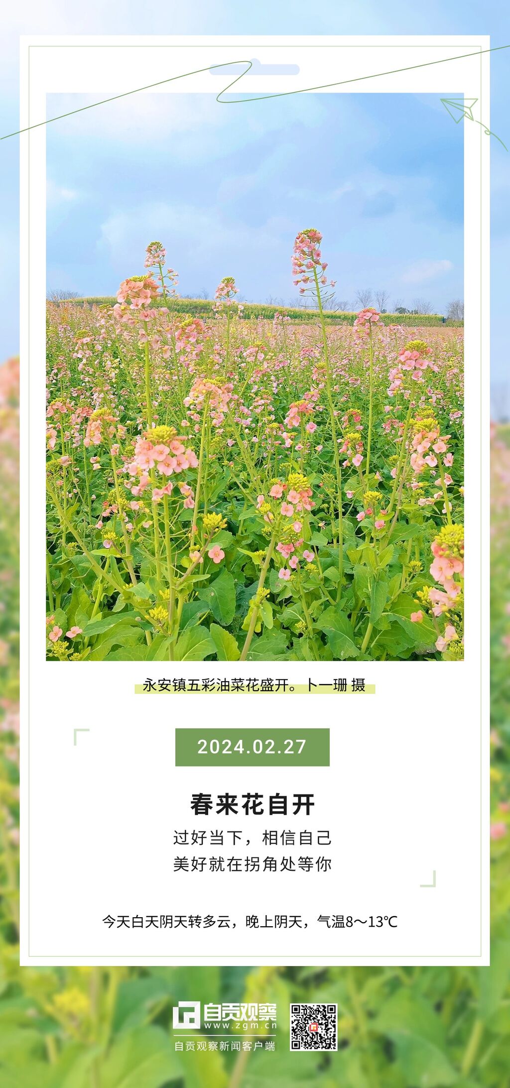 一帧自贡 | 永安镇五彩油菜花盛开（2024年2月27日）-1.jpg