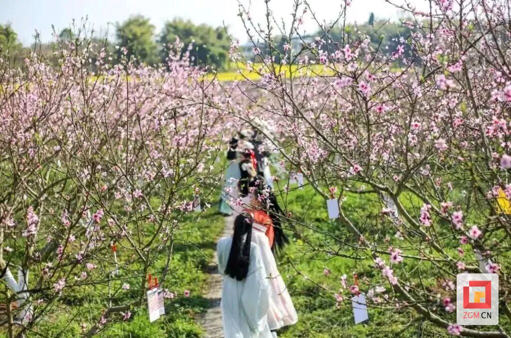 @自贡市民 春季赏花指南来了 等你来打卡-10.jpg