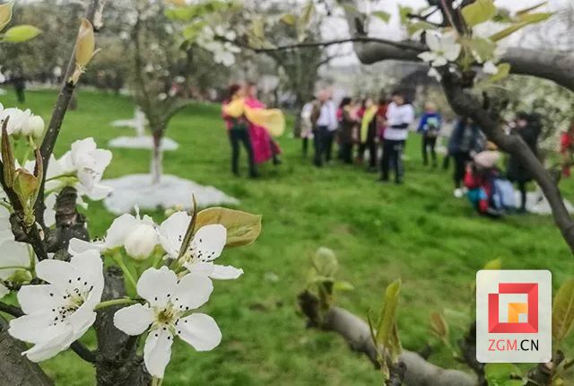 @自贡市民 春季赏花指南来了 等你来打卡-12.jpg