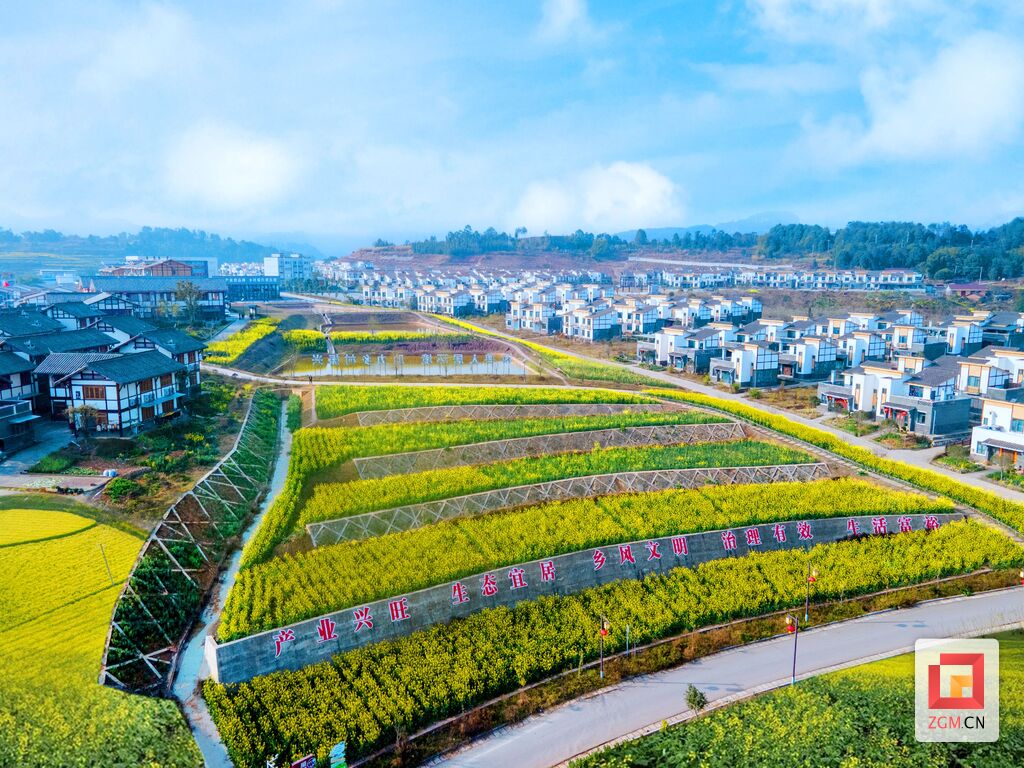 以花为媒 广交朋友 荣县高山镇首届油菜花文旅季活动将于2月29日举行-1.jpg