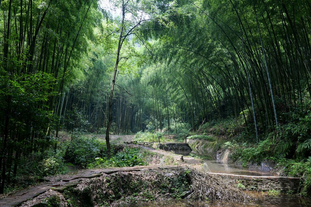 春光正好 何不去荣县赴一场春天的邀约？-2.jpg