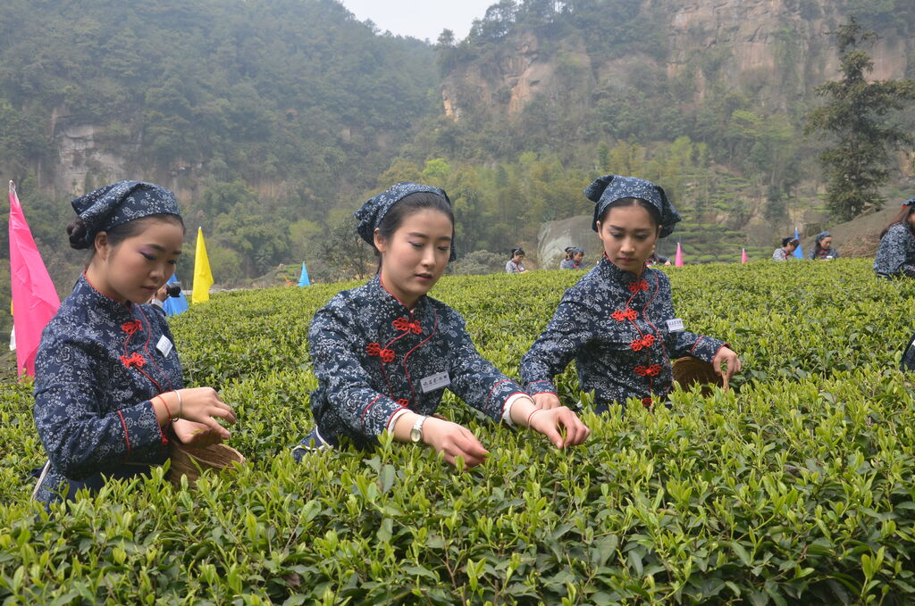 春光正好 何不去荣县赴一场春天的邀约？-8.jpg