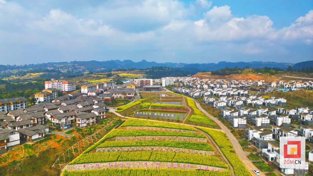 油菜花田“画春天” 宜居宜游在高山-2.jpg