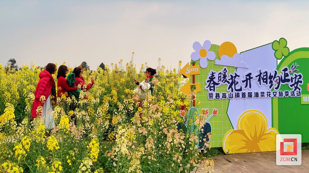 油菜花田“画春天” 宜居宜游在高山-8.jpg