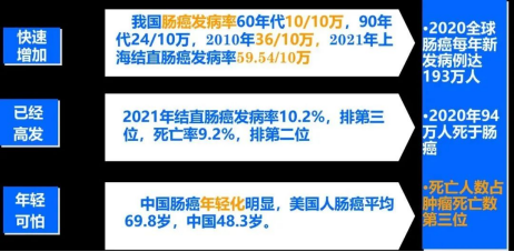 多点“肠”识，肠健康，常快乐！-2.jpg
