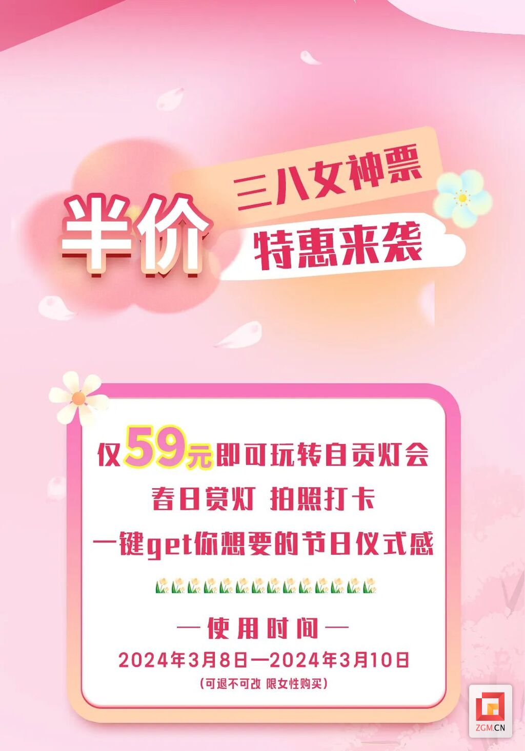 自贡灯会送“福利” “三八”节女性观灯享半价-2.jpg
