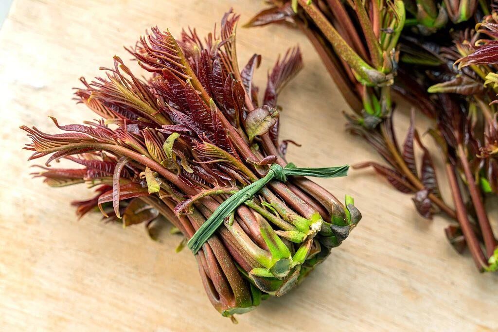 春天哪些野菜值得吃？怎样烹饪营养价值高？了解一下-3.jpg