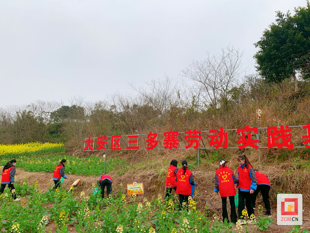 雷锋精神薪火传 自贡市掀起“学雷锋”活动热潮-33.jpg