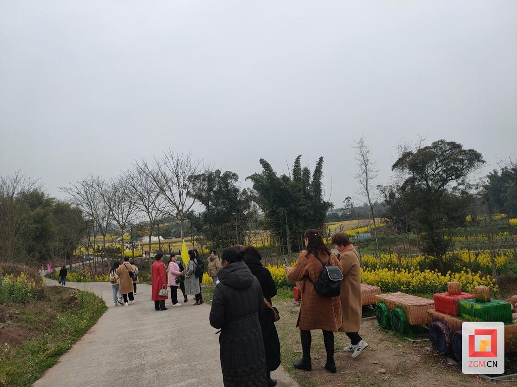 春日里·健康走·享生活 金桂社区举办关爱困境人群主题活动-2.jpg