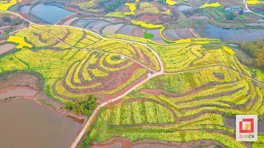 绘好“春耕图” 孕育“丰收景”-9.jpg