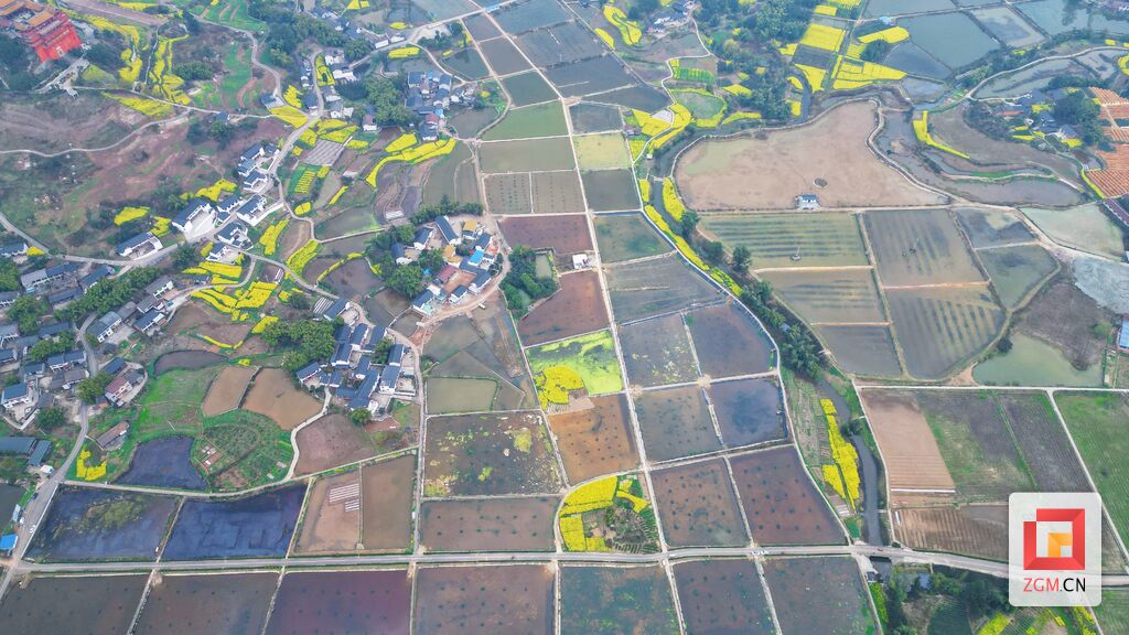 绘好“春耕图” 孕育“丰收景”-7.jpg