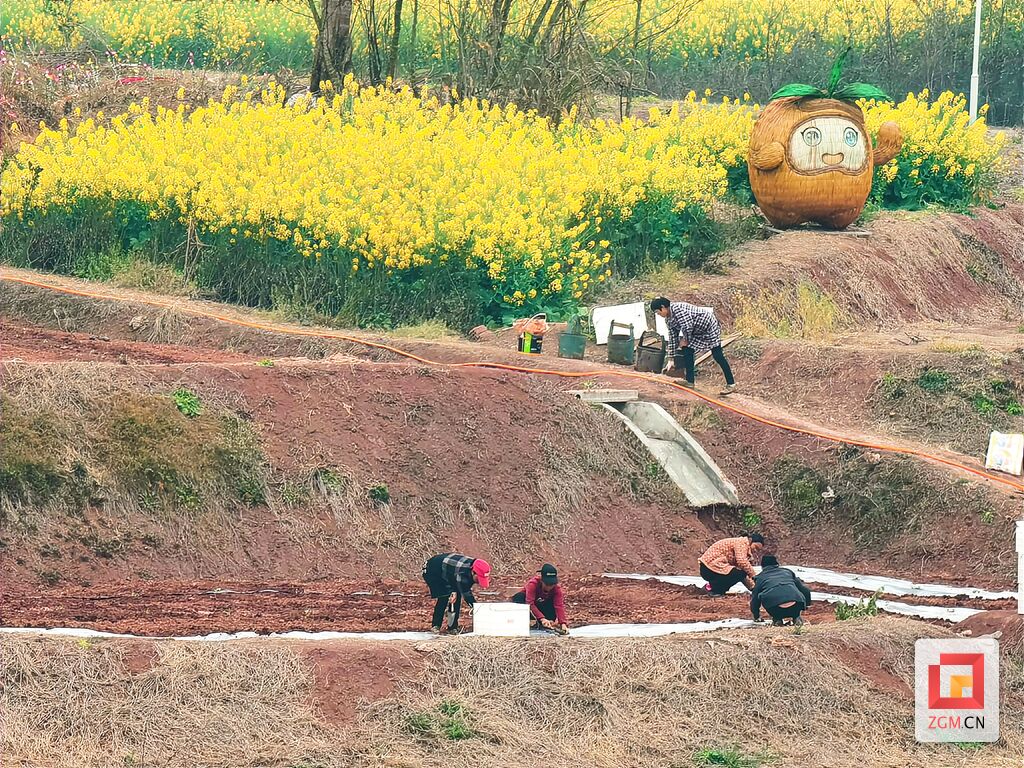 绘好“春耕图” 孕育“丰收景”-11.jpg