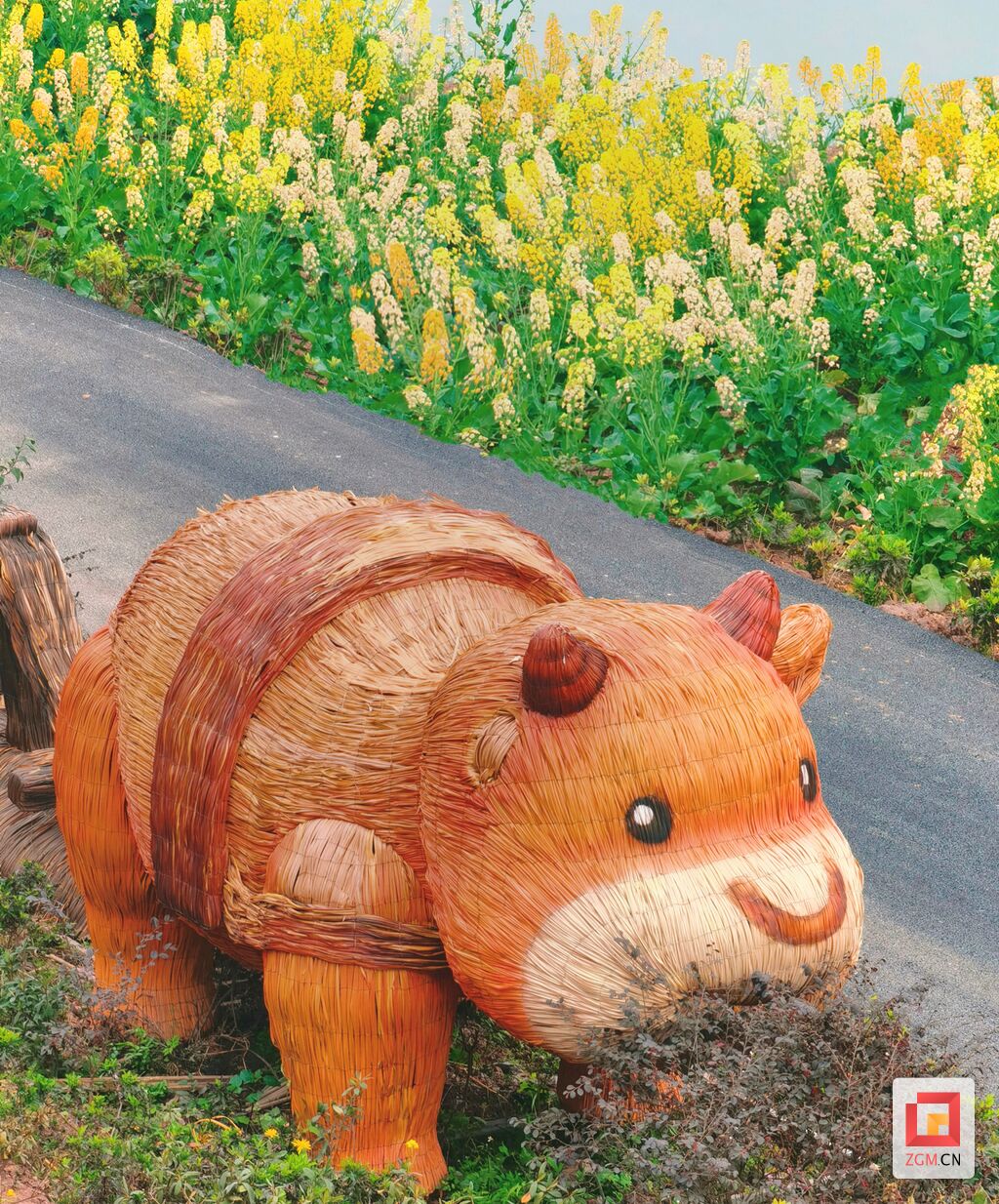 沿滩九洪乡：农文旅融合 油菜花开引客来-6.jpg