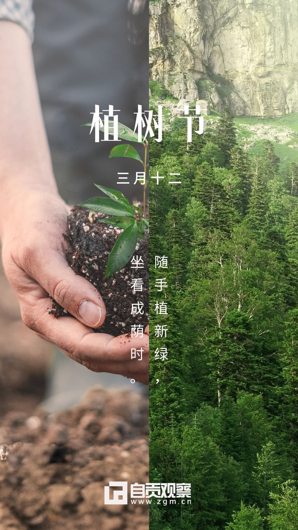 海报 | 植树节：春生万物 种下希望-3.jpg