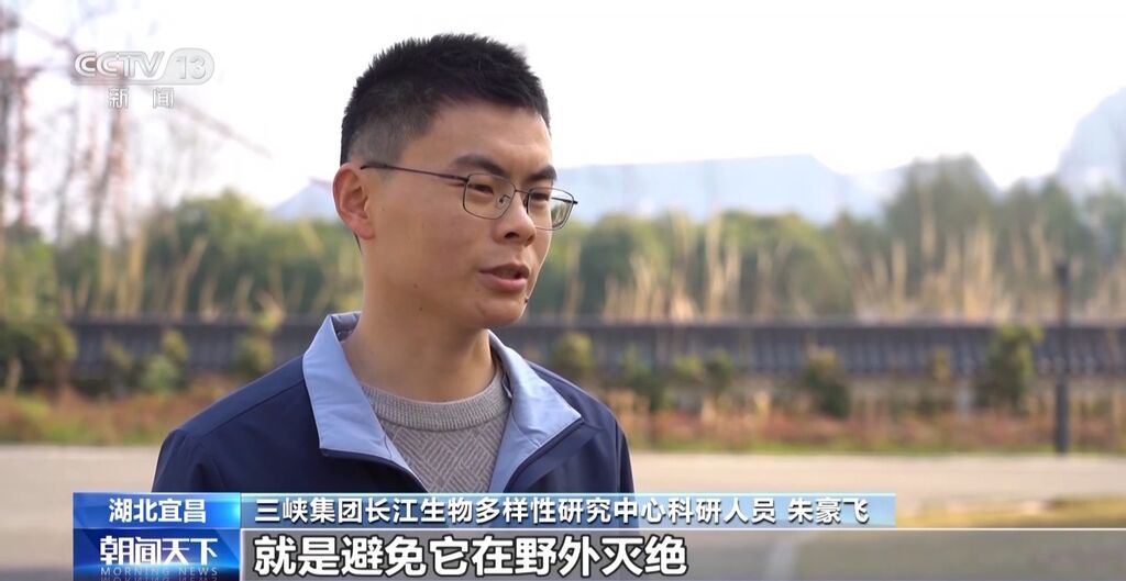 太空种子“丰都车前”首次被种植到野外-1.jpg
