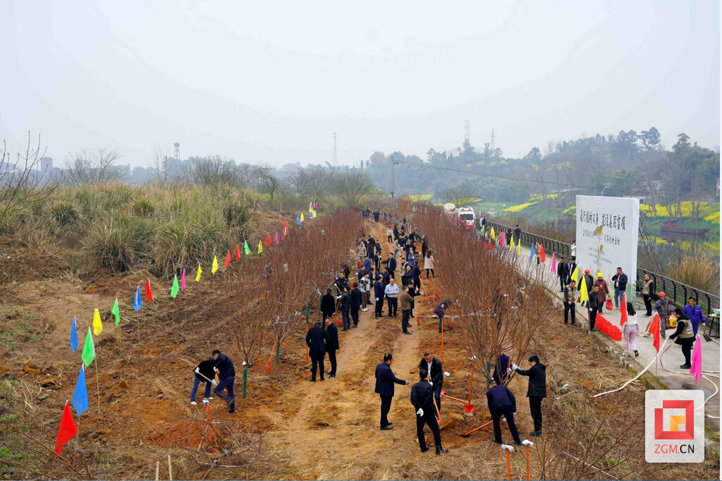 履行植树义务 建设美丽富顺 富顺县开展“3•12”义务植树活动-1.jpg