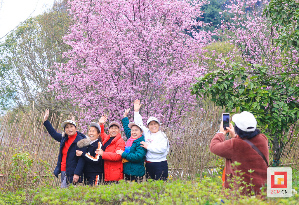 特别报道 | 花开盐都满眼春——自贡各乡镇竞相激活“赏花经济”潜力-1.jpg