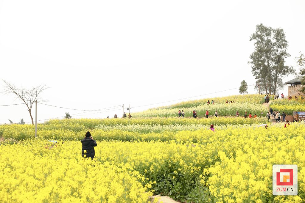 特别报道 | 花开盐都满眼春——自贡各乡镇竞相激活“赏花经济”潜力-4.jpg