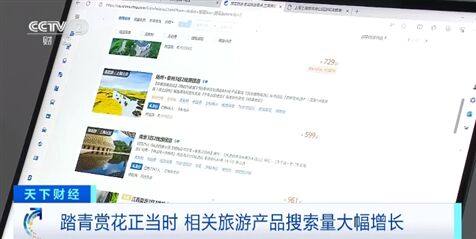 赏花景区门票卖爆了！日均预订量增超50% 最受欢迎的目的地是→-1.jpg