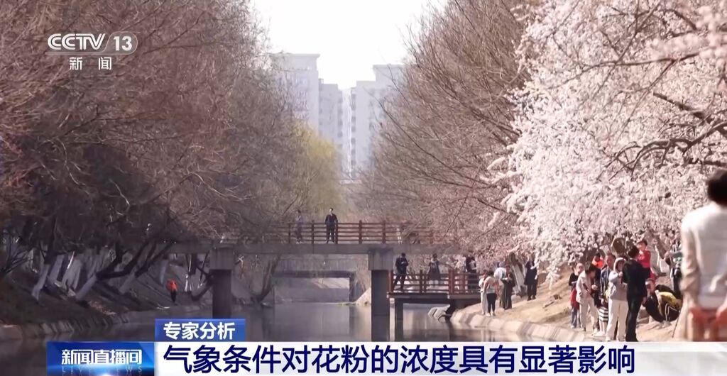 气象条件对花粉浓度有哪些影响？花粉季要注意什么？专家解答-2.jpg