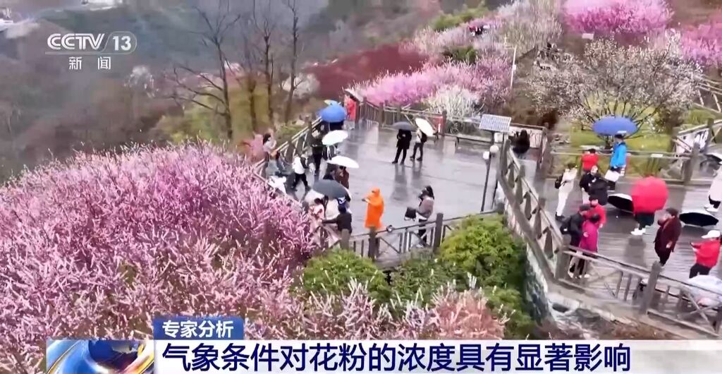 气象条件对花粉浓度有哪些影响？花粉季要注意什么？专家解答-4.jpg