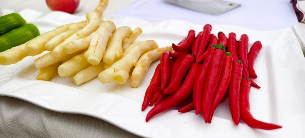 第十四届中国泡菜食品国际博览会开幕-2.jpg